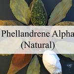 Phellandrene Alpha (Natural)**