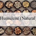 Humulene (Natural)