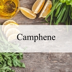 Camphene (Natural)***