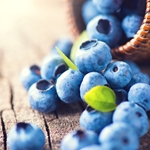 Blueberry Terpene Flavor**