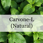 Carvone-L (Natural)