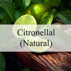 Citronellal ( Natural Isolate )