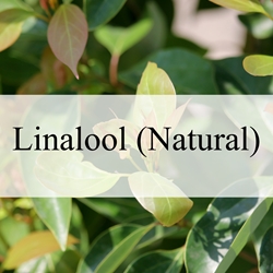 Linalool Natural