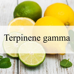 Terpinene gamma (Natural)**