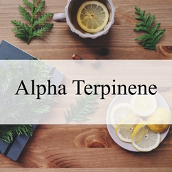 Alpha Terpinene**