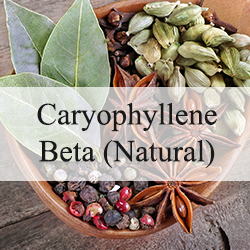 Caryophyllene Beta (Natural)