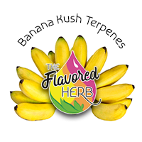 Banana Kush Terpenes**