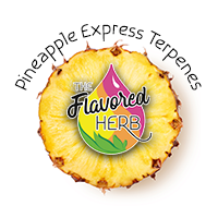 Pineapple Express Terpenes**