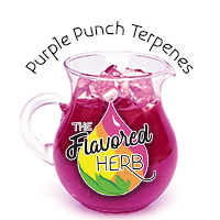 Purple Punch Terpenes**