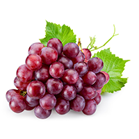 Grape Flavor (OS)