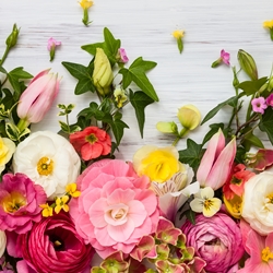 Flowery Terpenes Booster