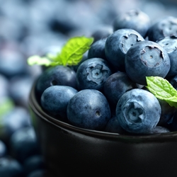 Blueberry Terpenes Booster