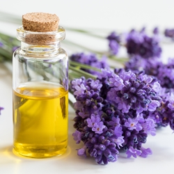 Lavender Terpenes Booster