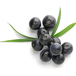 Acai Concentrate***