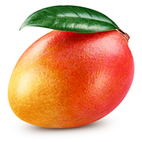 Mango Concentrate**