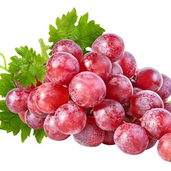 Grape Concentrate**