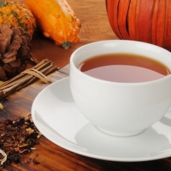 Pumpkin Spice Flavor (OS)