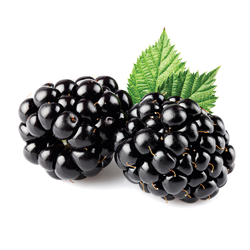 Blackberry Natural Flavor (OS)