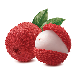 Lychee Natural Flavor (OS) **