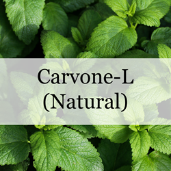 Carvone-L (Natural)